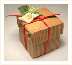 Card Favour with Lily