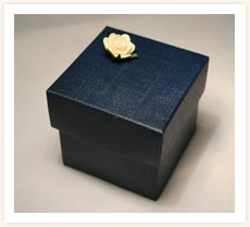Plain Navy Box