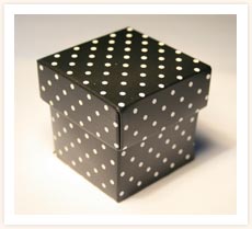 Plain Polka Box