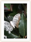 Bay Tree with Butterfly detail