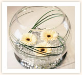 Bowl Vase with Gerbias