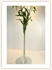 Lily Vase