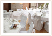 White Organza Swagging with Baroque Bows