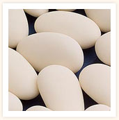Traditional Sugared Almonds